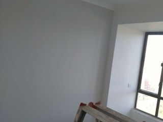 墙、顶面乳胶漆