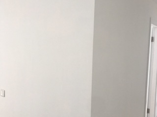墙、顶面乳胶漆