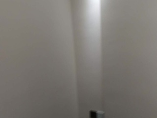 墙、顶面乳胶漆